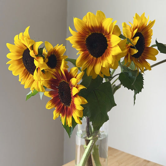 Bunch farm fresh Sunflowers